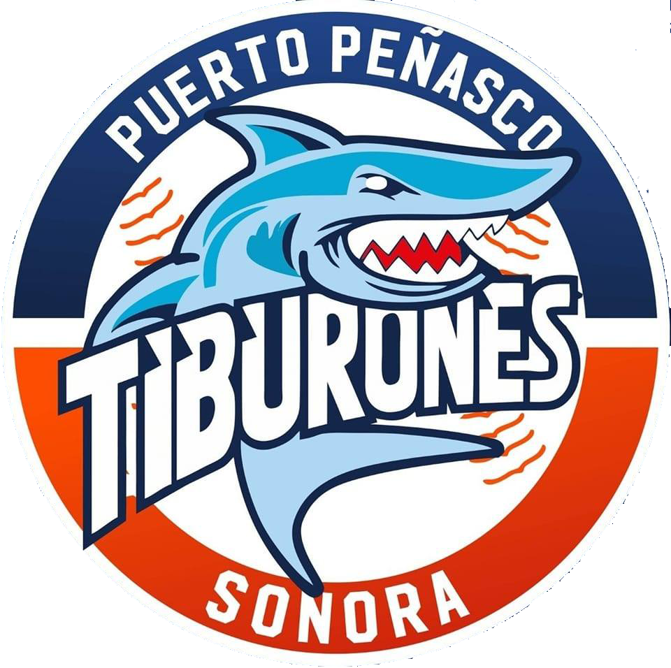Tiburones de Puerto Peñasco